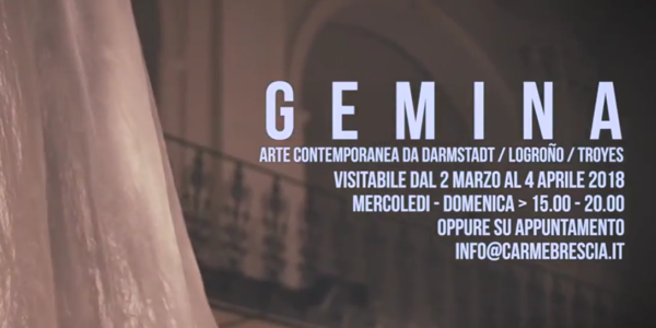 Video Gemina
