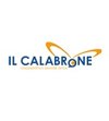 Il Calabrone