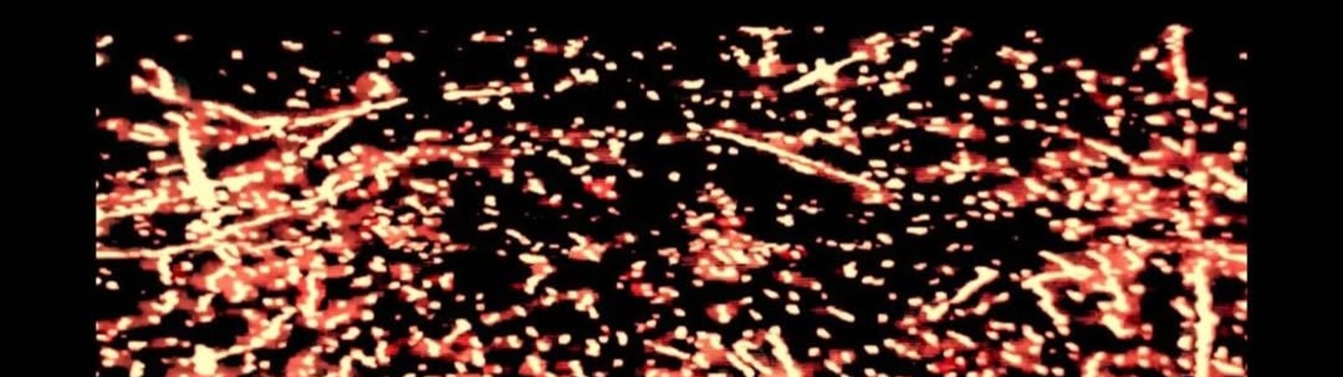 I FEEL LIKE A BOMBED CATHEDRAL // DAISY DICKINSON